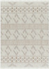 Livabliss New Delhi NWH-2309 Global Machine Woven Area Rugs