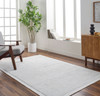 Livabliss Yasmin YMN-2304 Modern Hand Knotted Area Rugs