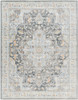 Livabliss Hassler HSL-2305 Traditional Machine Woven Area Rugs