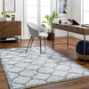 Livabliss Napoli NPO-2307 Traditional Hand Woven Area Rugs