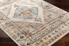 Livabliss Pertek PTK-2311 Traditional Machine Woven Area Rugs
