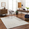 Livabliss Piazza PZZ-2304 Traditional Hand Tufted Area Rugs