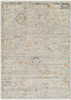 Livabliss Rojin ROJ-2303 Traditional Machine Woven Area Rugs