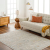 Livabliss Rojin ROJ-2303 Traditional Machine Woven Area Rugs