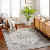 Livabliss San Francisco SFO-2327 Traditional Machine Woven Area Rugs