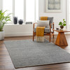 Livabliss Rebecca RBC-2302 Modern Hand Woven Area Rugs