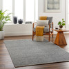 Surya Rebecca RBC-2302 Modern Hand Woven Area Rugs