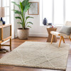 Livabliss Manisa MNS-2306 Global Hand Woven Area Rugs