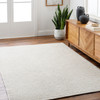 Livabliss Rebecca RBC-2303 Modern Hand Woven Area Rugs