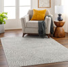 Surya Pisa PSS-2365 Modern Machine Woven Area Rugs