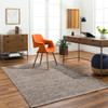 Livabliss Porter POE-2303 Modern Hand Woven Area Rugs