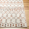 Livabliss Pisa PSS-2368 Global Machine Woven Area Rugs
