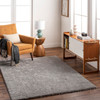 Livabliss Nomadic NMC-2303 Modern Machine Woven Area Rugs