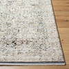 Livabliss Rivaldo RVD-2302 Traditional Machine Woven Area Rugs