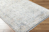 Livabliss Rivaldo RVD-2307 Traditional Machine Woven Area Rugs
