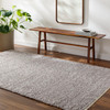 Livabliss Boculette BCT-2303 Modern Hand Woven Area Rugs