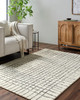 Livabliss Jules JLS-2304  Hand Tufted Area Rugs