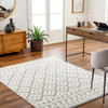 Livabliss Rodos RDO-2338 Modern Machine Woven Area Rugs