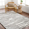 Surya Cloudy Shag CDG-2328  Machine Woven Area Rugs