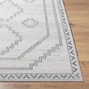 Livabliss Alpharetta APH-2306  Machine Woven Area Rugs