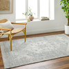 Livabliss Alpharetta APH-2310  Machine Woven Area Rugs