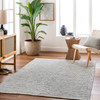 Livabliss Rebecca RBC-2305 Modern Hand Woven Area Rugs