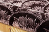 Nourison Regal REG08 Espre Area Rugs