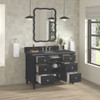 Lorelai 48" Single Vanity, Black Onyx w/ 3 CM Charcoal Soapstone Silestone Top