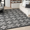 Nourison Aloha ALH34 Black White Area Rugs
