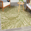 Nourison Aloha ALH41 Ivory Green Area Rugs