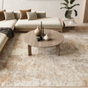 Nourison Ambiance AMI03 Ivory Silver Area Rugs
