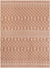 Nourison Astra Machine Washable ASW10 Copper Area Rugs