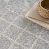 Nourison Astra Machine Washable ASW10 Grey Area Rugs