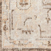 Nourison Astra Machine Washable ASW11 Beige Area Rugs