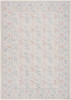 Nourison Botanical Washables BOT03 Ivory Multicolor Area Rugs