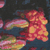 Nourison Color Splash CSP03 Multicolor Area Rugs