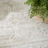 Nourison Dekor DEK01 Ivory Beige Area Rugs