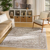 Nourison Dekor DEK03 Ivory Brown Area Rugs