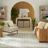 Nourison Grace GCE01 Sage Area Rugs