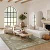Nourison Grafix GRF14 Olive Area Rugs