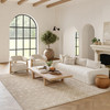 Nourison Grafix GRF37 Beige Area Rugs