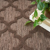 Nourison Easy Care NES01 Brown Area Rugs