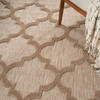 Nourison Easy Care NES01 Natural Beige Area Rugs