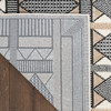 Nourison Nordic NRC06 Ivory Multicolor Area Rugs
