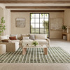 Nourison Nordic NRC08 Blue Green Area Rugs