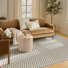 Nourison Nordic NRC12 Ivory Black Area Rugs
