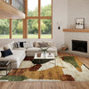 Nourison Nordic NRC18 Beige Multi Area Rugs