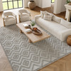 Nourison Versatile NRV01 Silver Grey Area Rugs