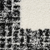 Nourison Pacific Shag PCS02 Ivory Black Area Rugs
