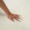 Nourison Pacific Shag PCS02 Ivory Black Area Rugs